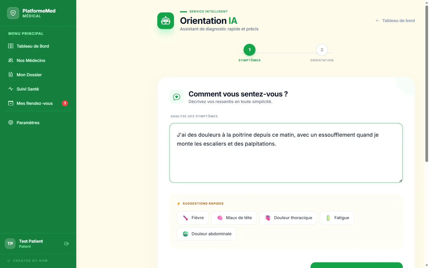 The AI orientation screen with symptoms described in free text
